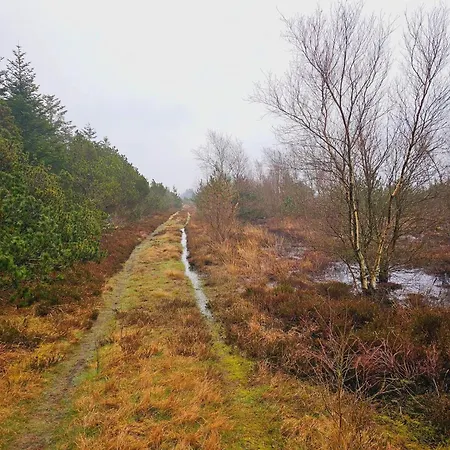 6 Person In * Nørre Nebel