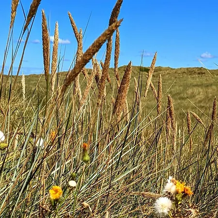 Дом отдыха 6 Person In