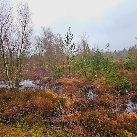 6 Person In Дом отдыха Norre Nebel